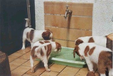 kwurf7.jpg (29074 Byte)